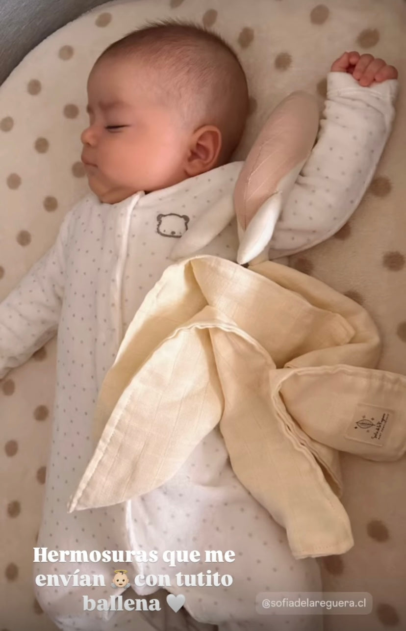 Box Marina Arena 𓇼 ⋆.˚ 𓆉 𓆝 𓆡⋆.˚ 𓇼