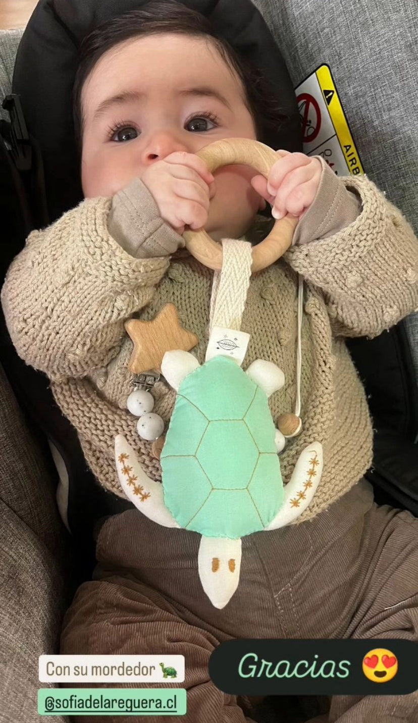 Mordedor Tortuga ✶