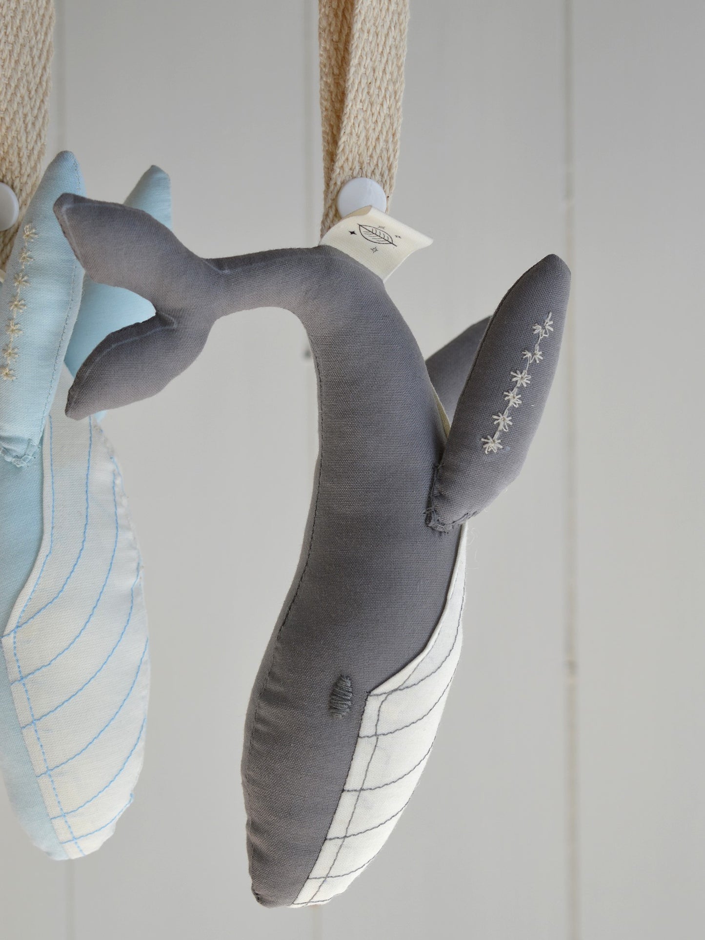 Mordedor Ballena ✶