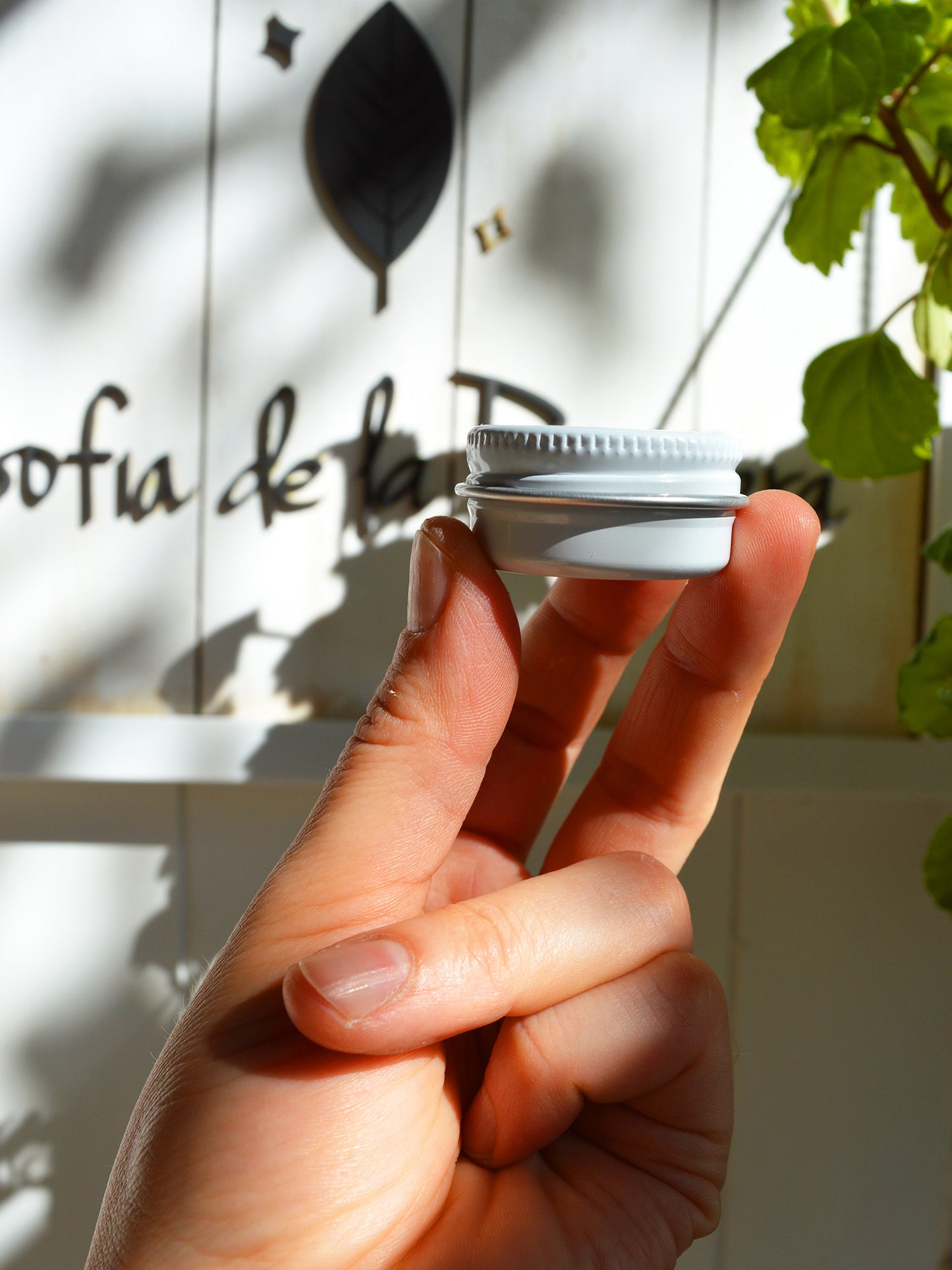 Sellador Madera ✦ BLEND Coconut Oil & Bees Wax
