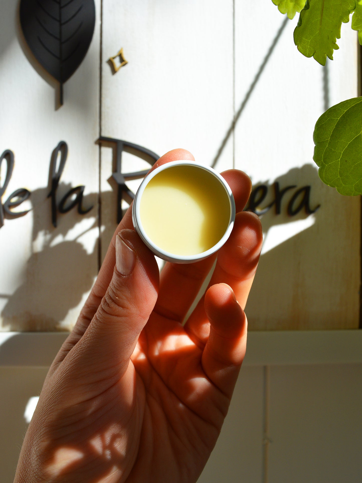 BLEND ✦ SELLADOR Coconut Oil & Bees Wax