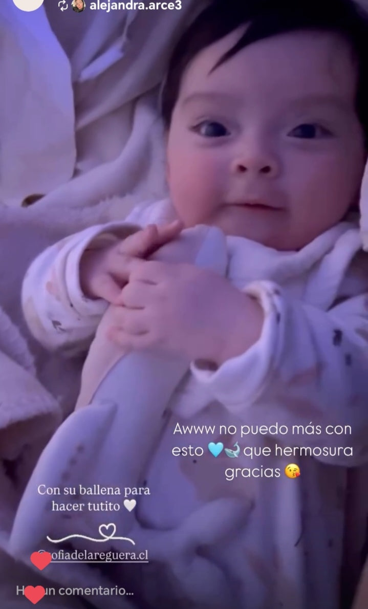 Set Collar + Tuto ✦ Crema