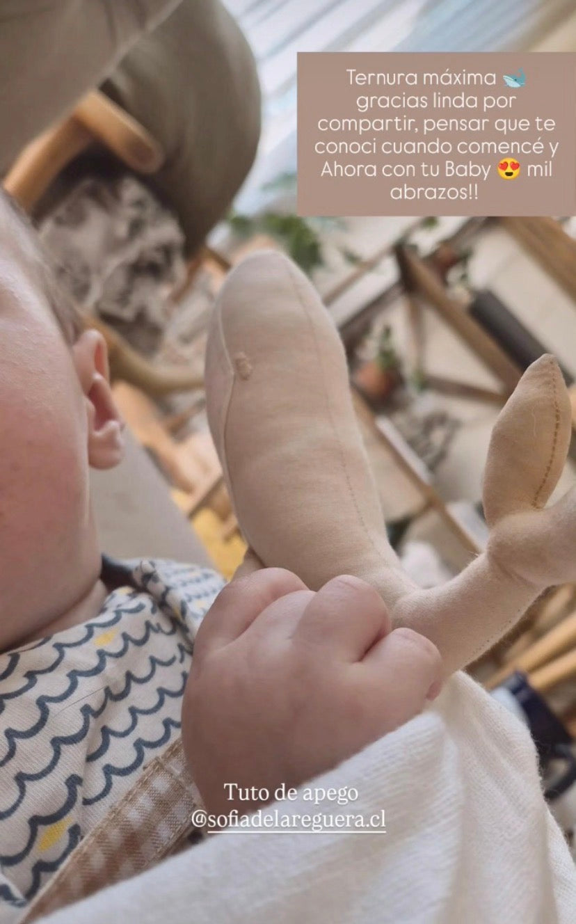 Tuto Apego ✦ AURA Ballena / 📣 LLEGARON! Stock 25 de Marzo