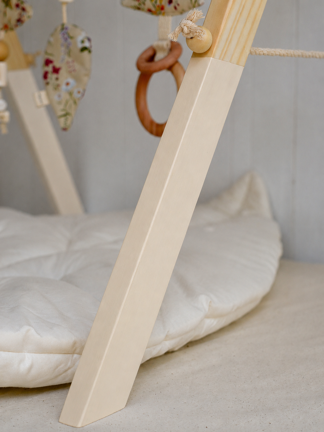 Gimnasio Basic ✦ Hojitas Crema