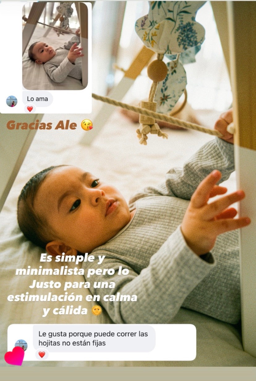 Gimnasio Basic ✦ Hojitas Crema