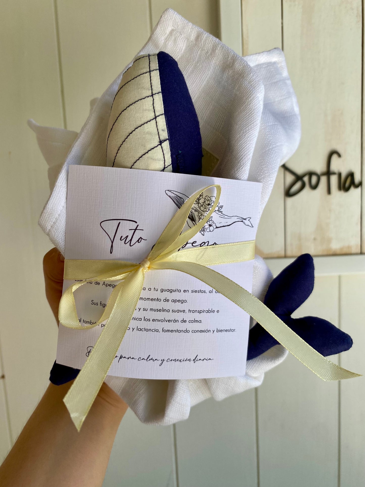 Box Playa Azul 𓇼 Tuto + Portachupetes / New collection