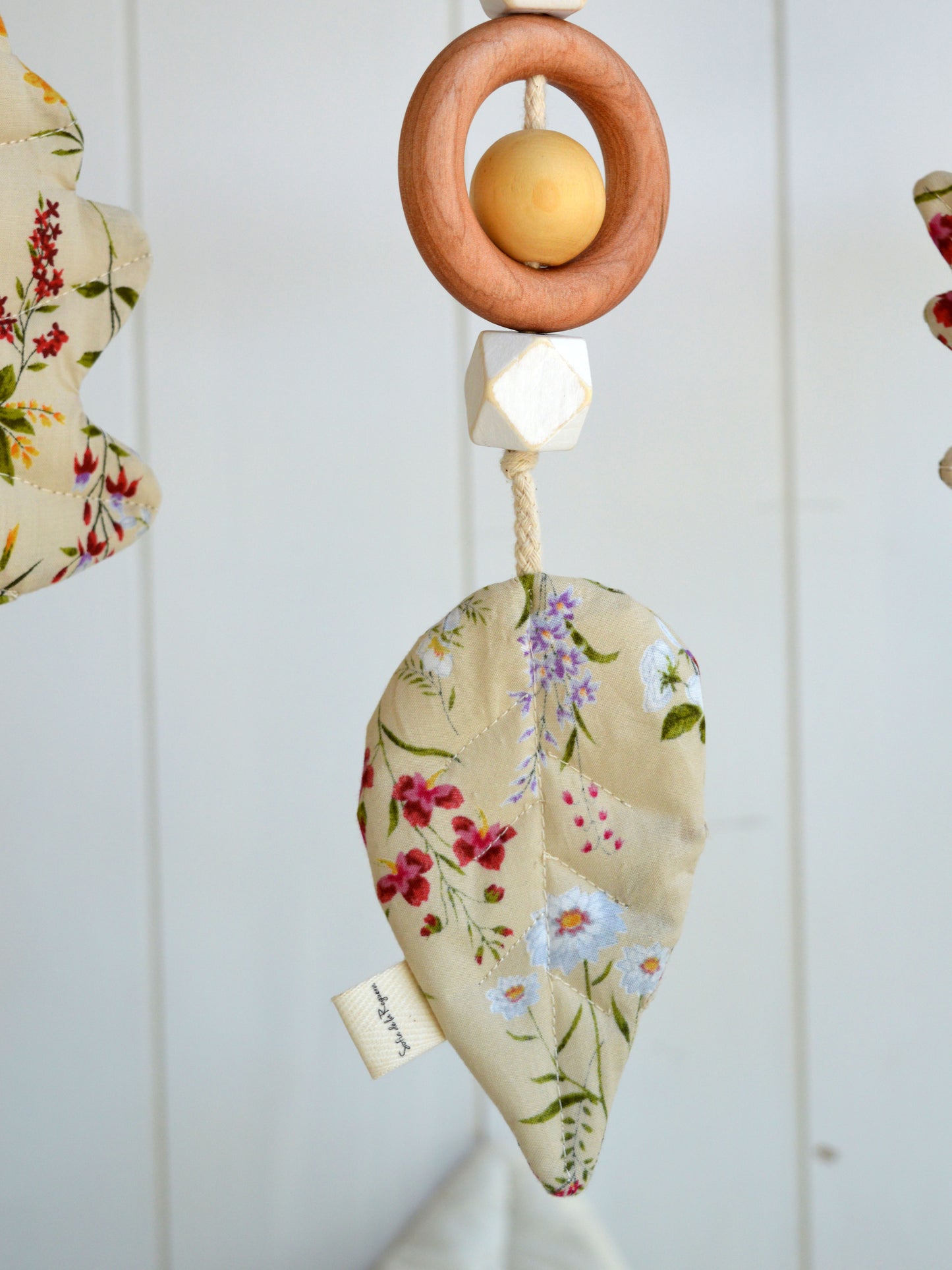 Gimnasio Basic ✦ Primavera Crema