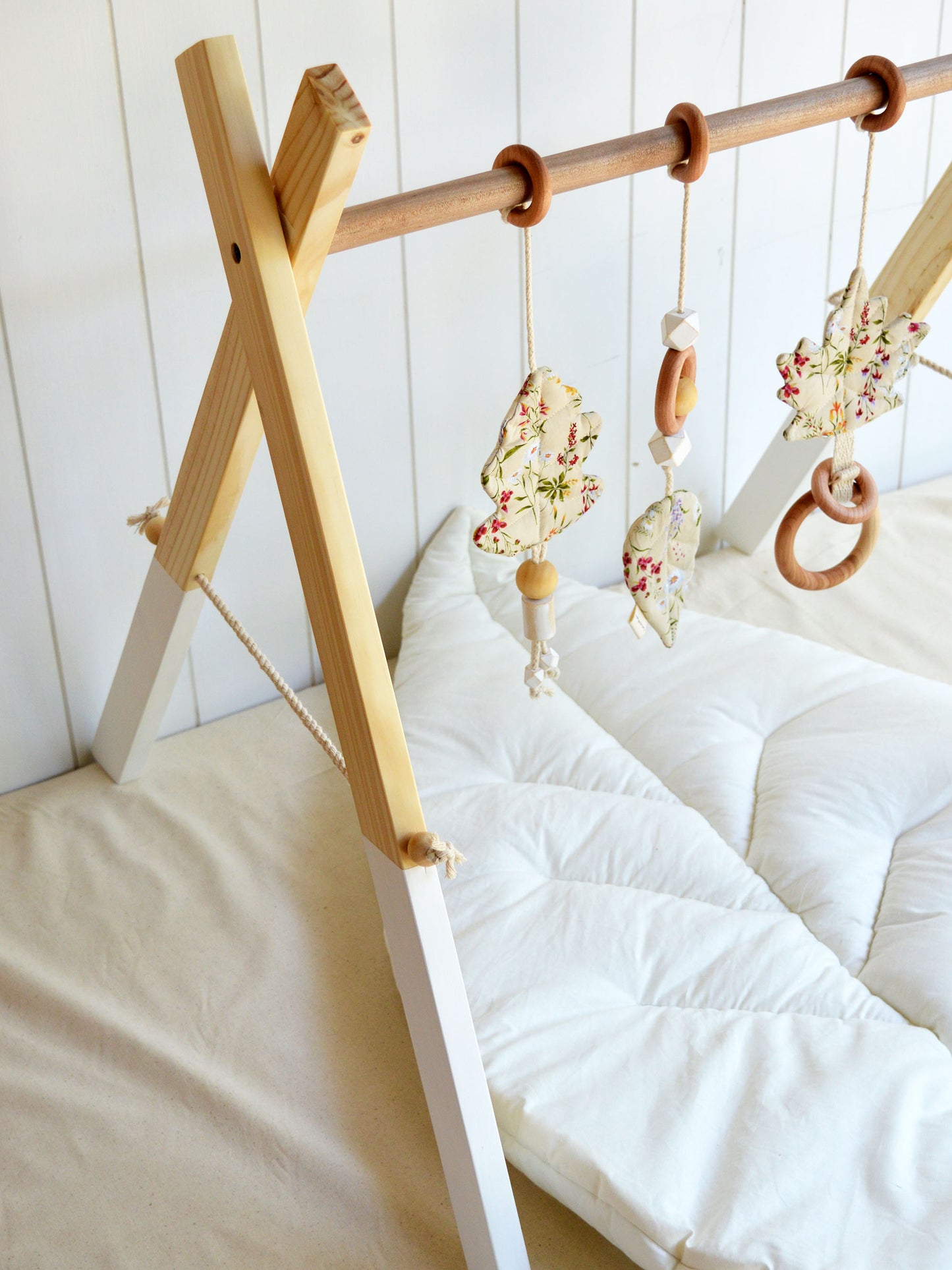 Gimnasio Basic ✦ Primavera Crema