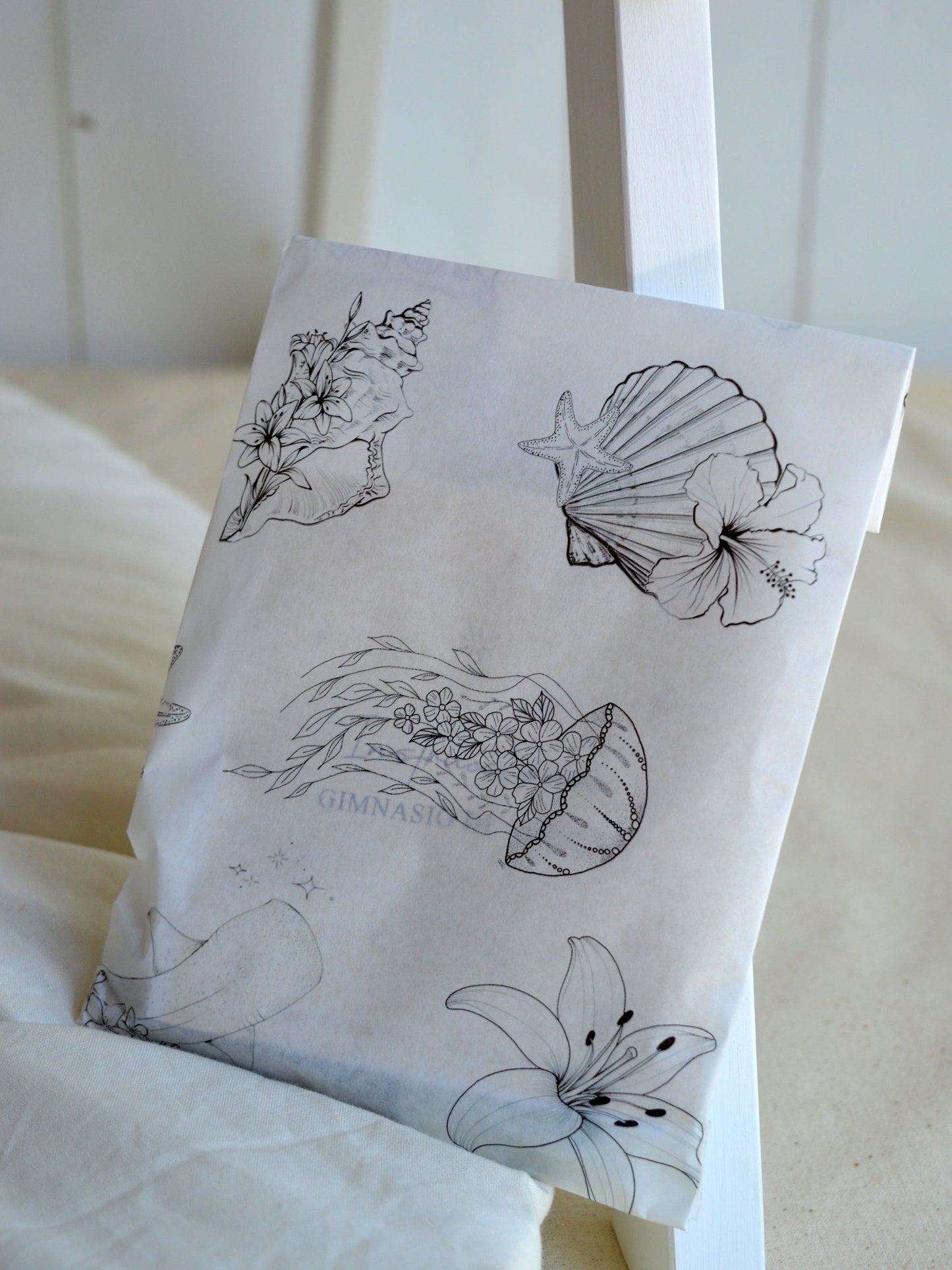 Gimnasio Basic ✦ Primavera Crema