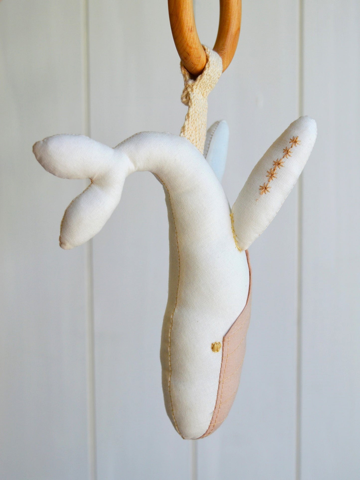 Mordedor ✦ Ballena