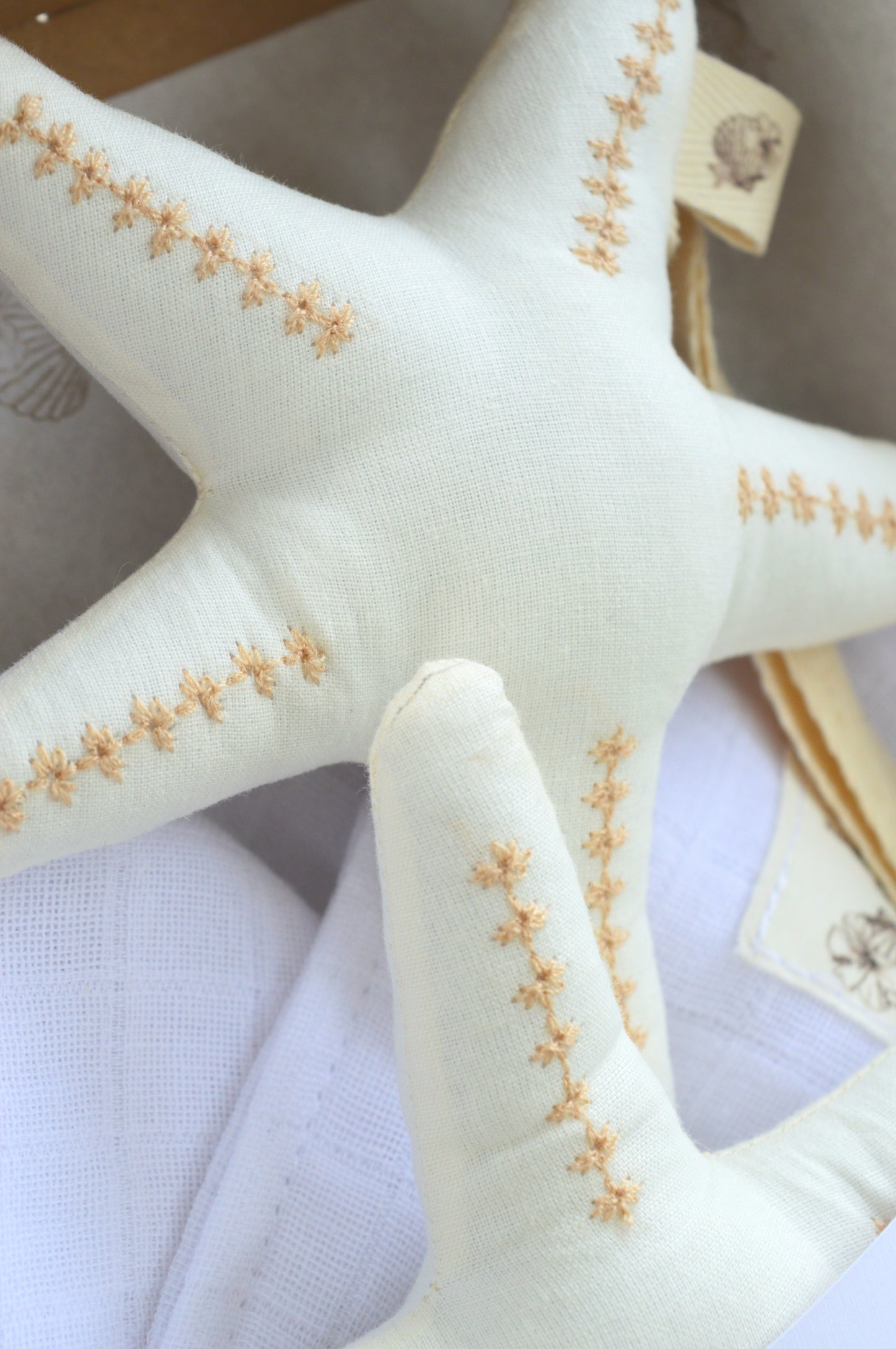 Box Universo Aura ✦ Estrella Mar | NEW IN