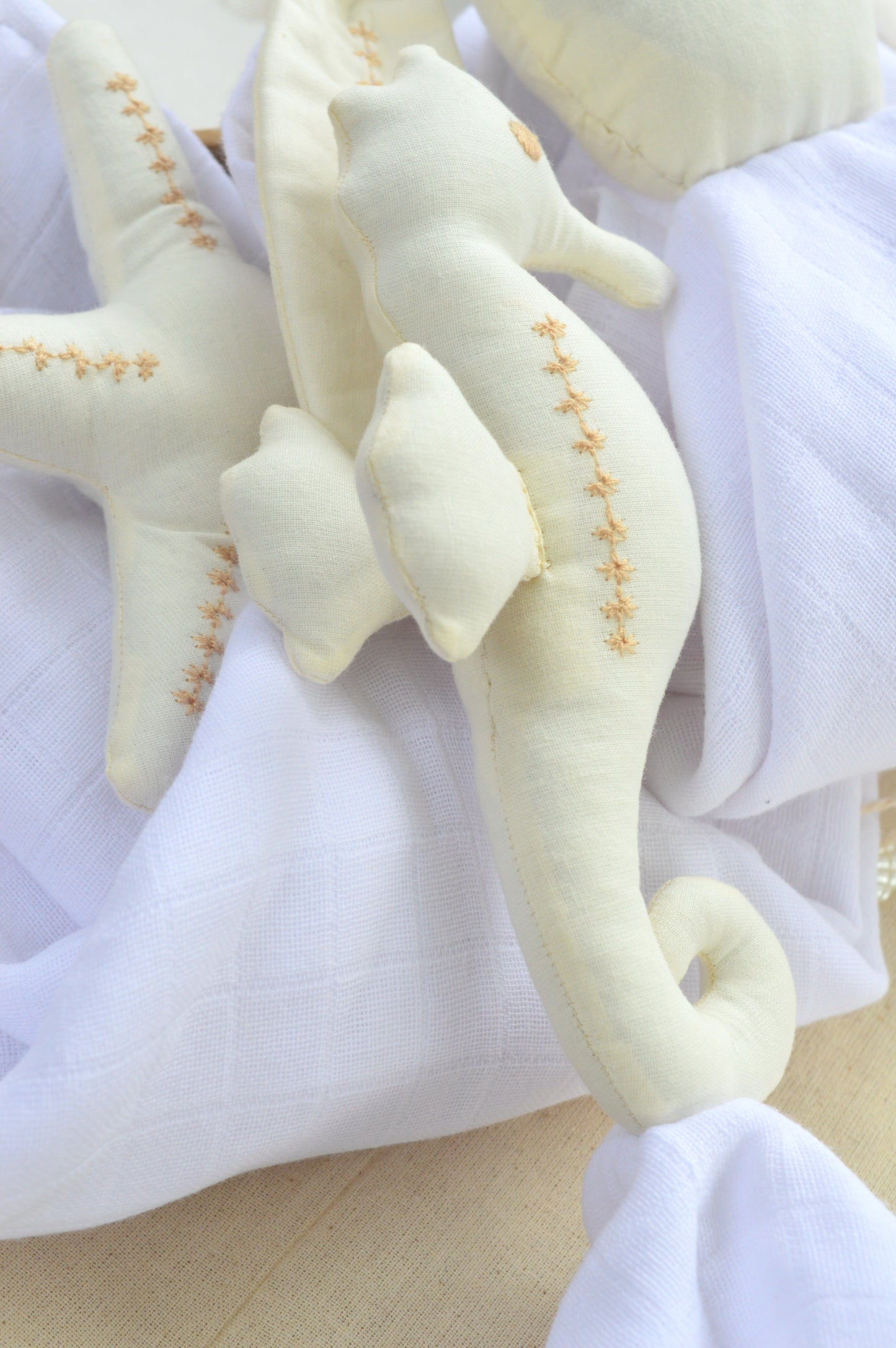 Box Universo Aura ✦ Caballito Mar | NEW IN