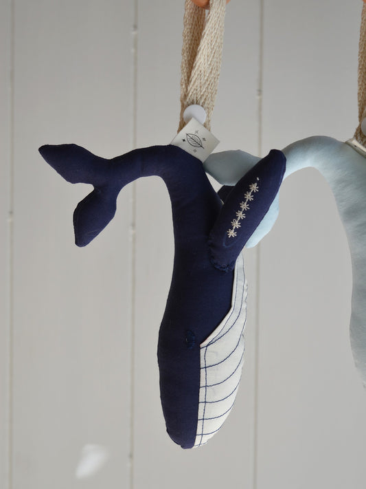 Mordedor Ballena ✶