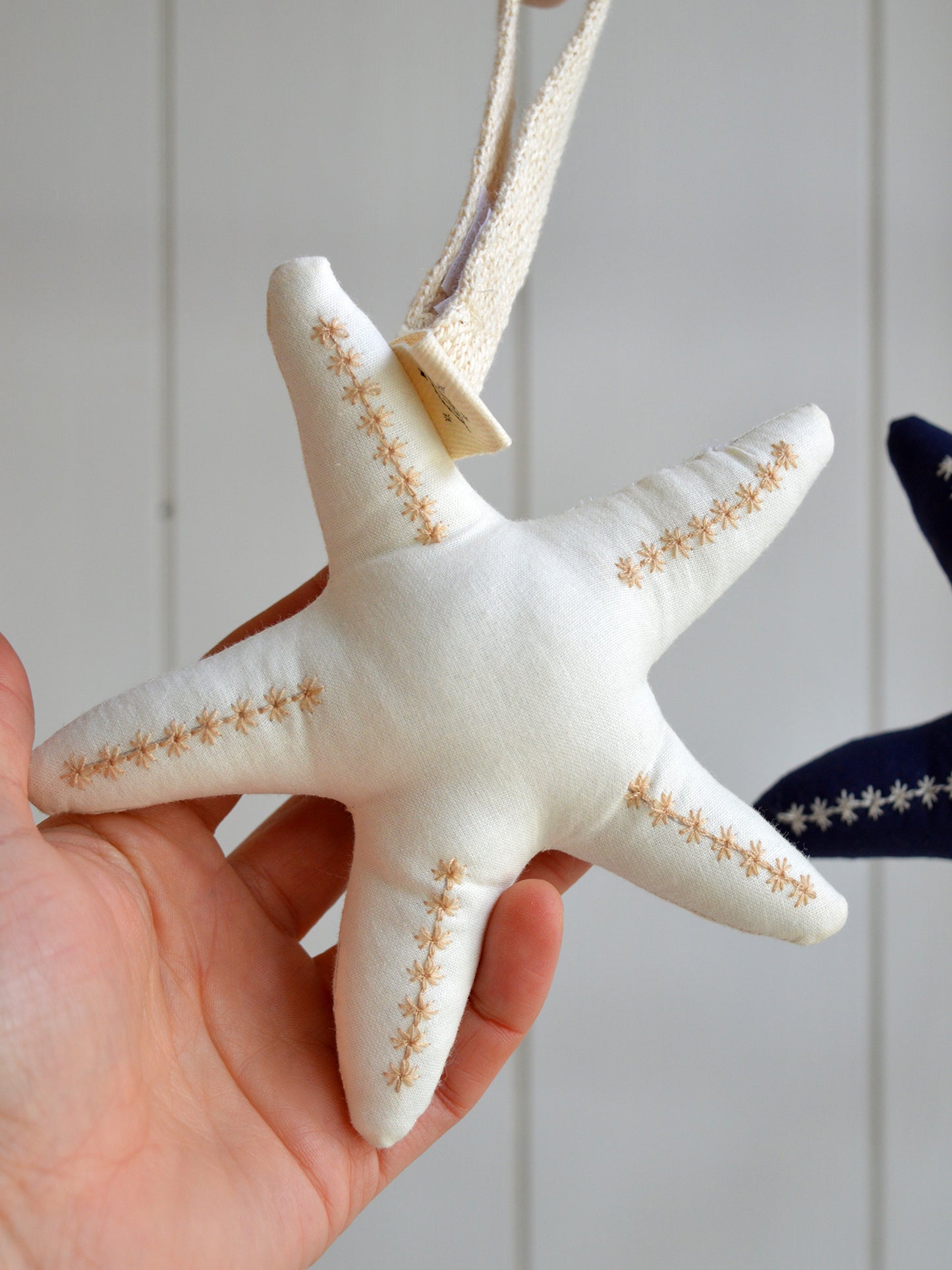 Mordedor Estrella Mar ✶