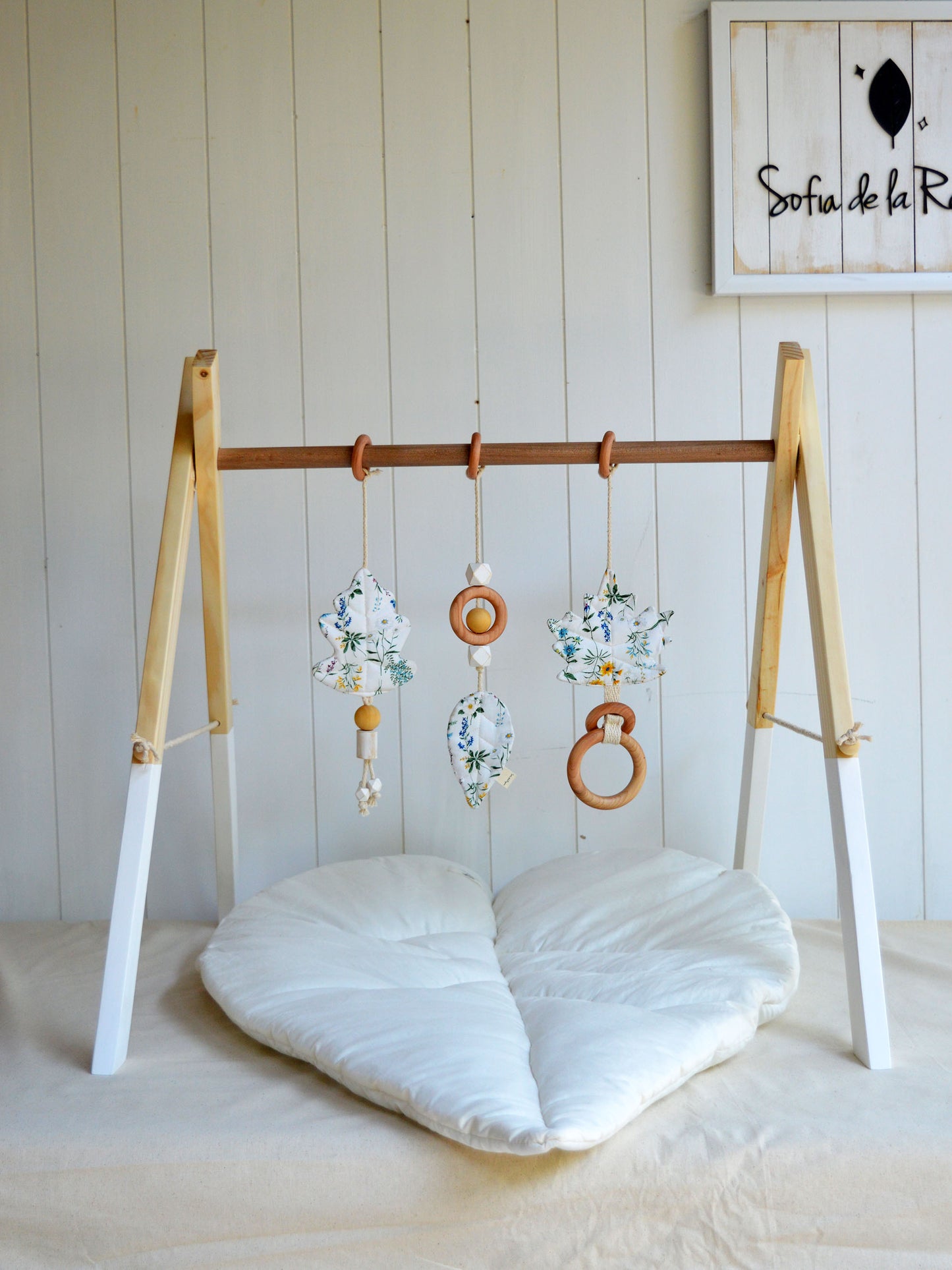 Gimnasio Basic ✦ Primavera Celeste