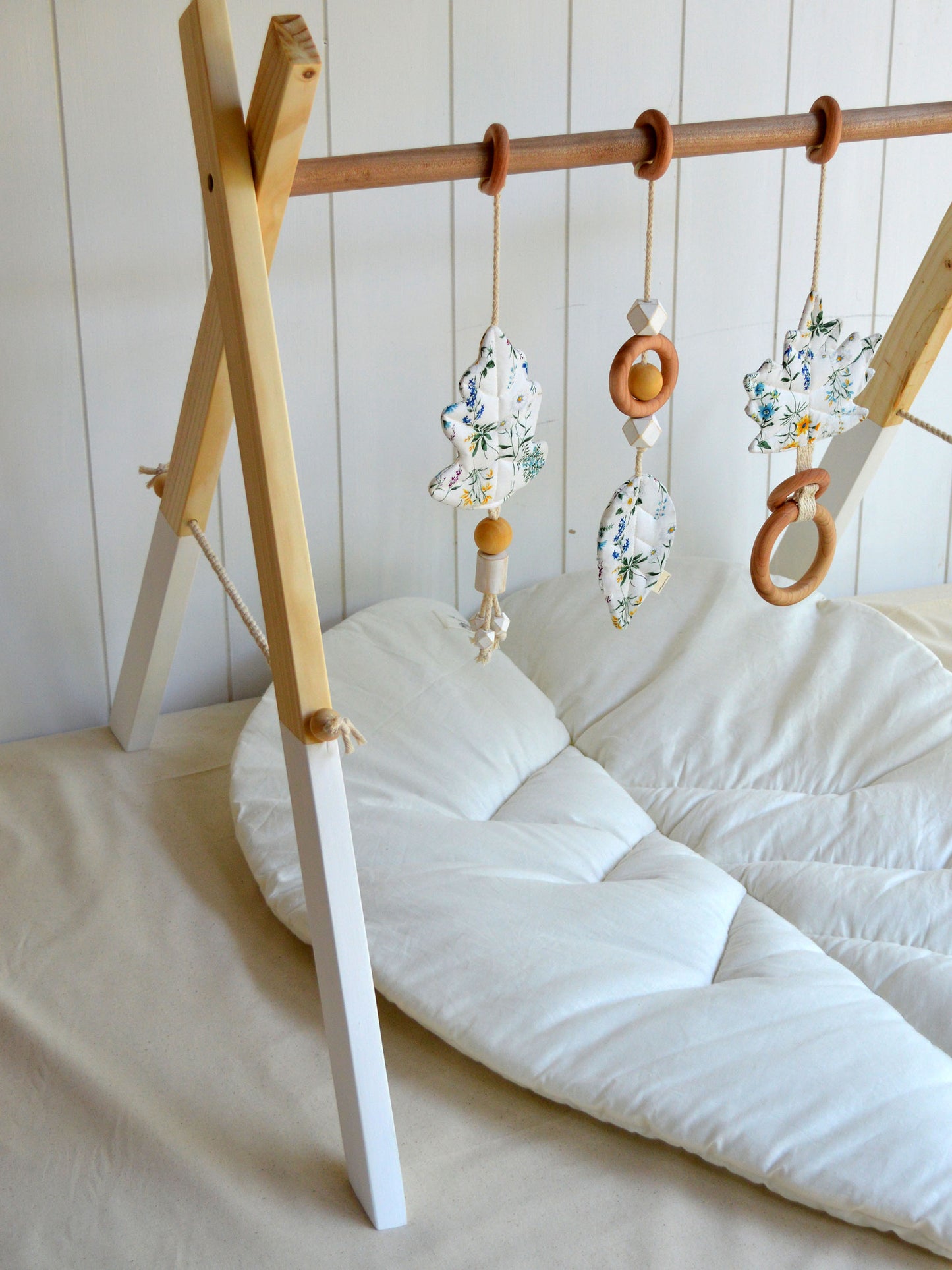 Gimnasio Basic ✦ Primavera Celeste