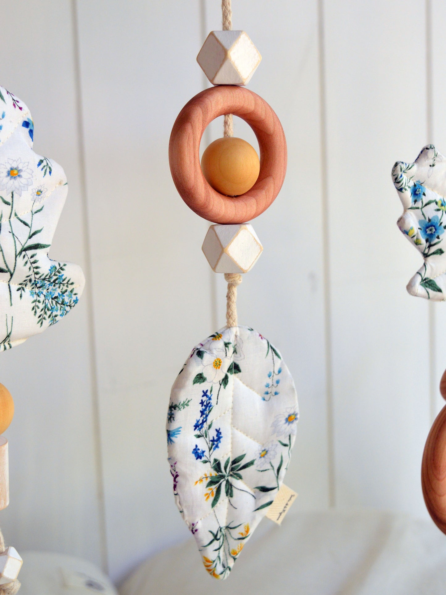 Set Móviles Primavera ✦ para Gimnasio