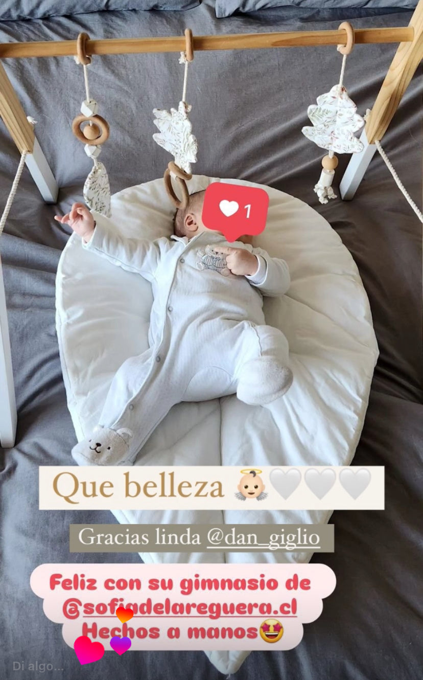 Gimnasio Basic ✦ Primavera Celeste